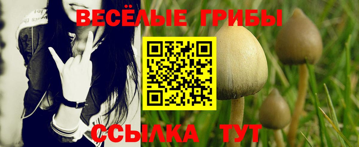 Галлюциногенные грибы ЛСД  Вход с VPN  Люберцы 